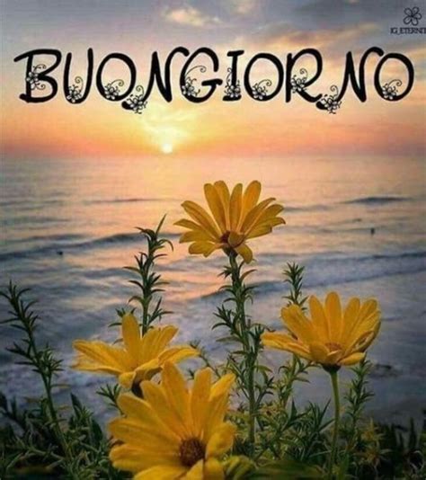 bellissime buongiorno gif animate nuove